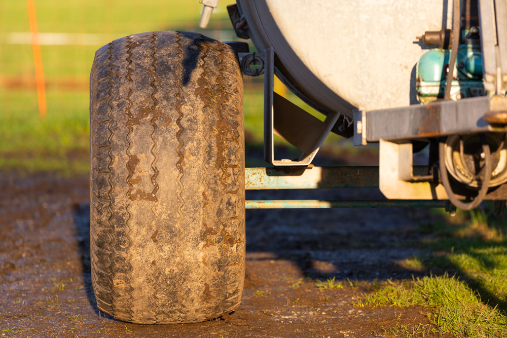 Lauteracherried im Jänner 81